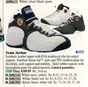 team jordan shoes 1998